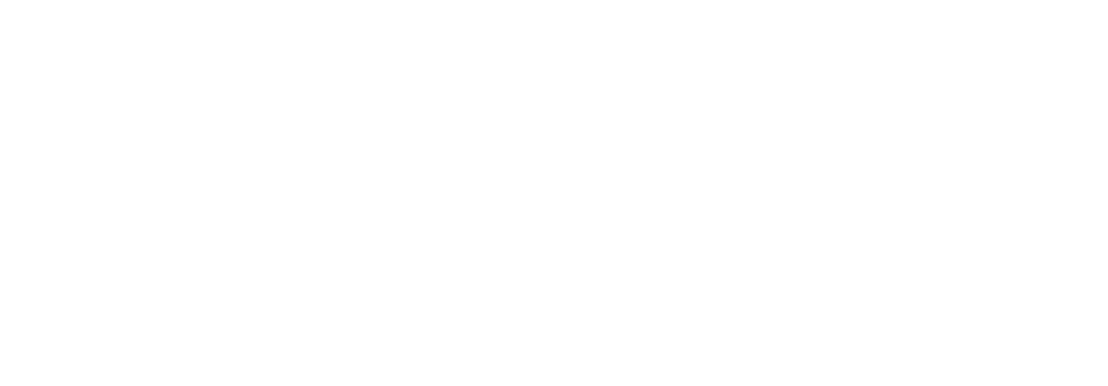 Bongo Logo